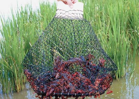 شبکه شش گوشه ای با بافت برای گرفتن سیم خرچنگ