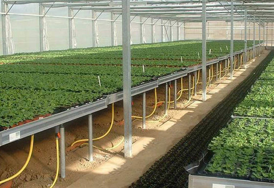 گلخانه 3 × 3 میلی متر مش سیم جوش داده شده ظرفیت بار بالا و جریان هوا
