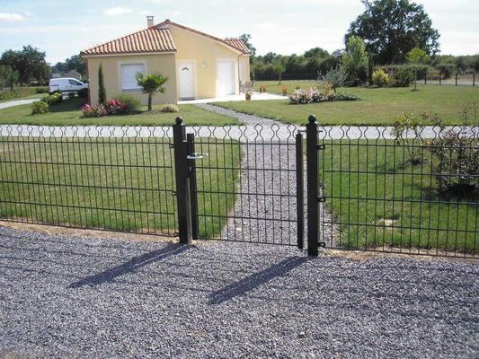Prestige Mesh 868 سد سیم دوگانه 50 × 200mm برای تزئینی