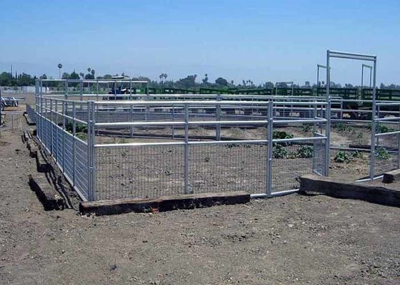 حصار اسب دار با قدرت بالا و ایمنی